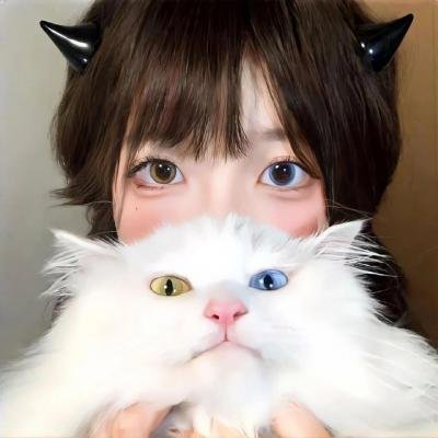 功夫熊猫之师傅的秘密